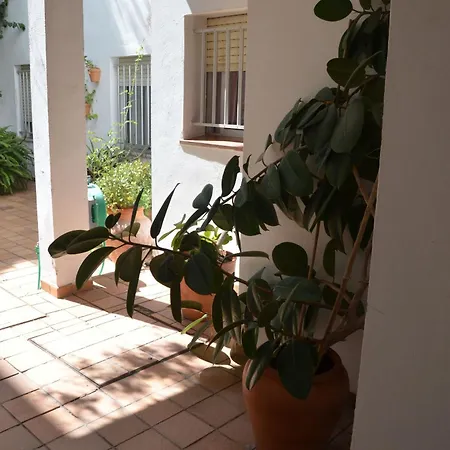 Otel El Coloso 2*