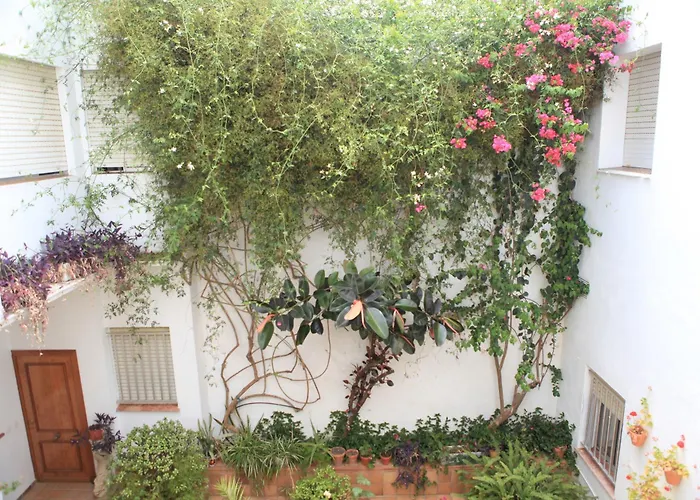 El Coloso Jerez de la Frontera