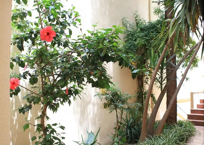 Hotel El Coloso