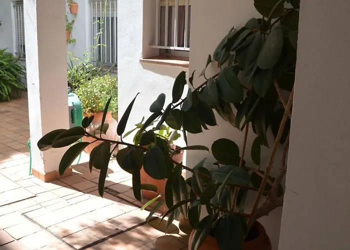 Hotel El Coloso 2*